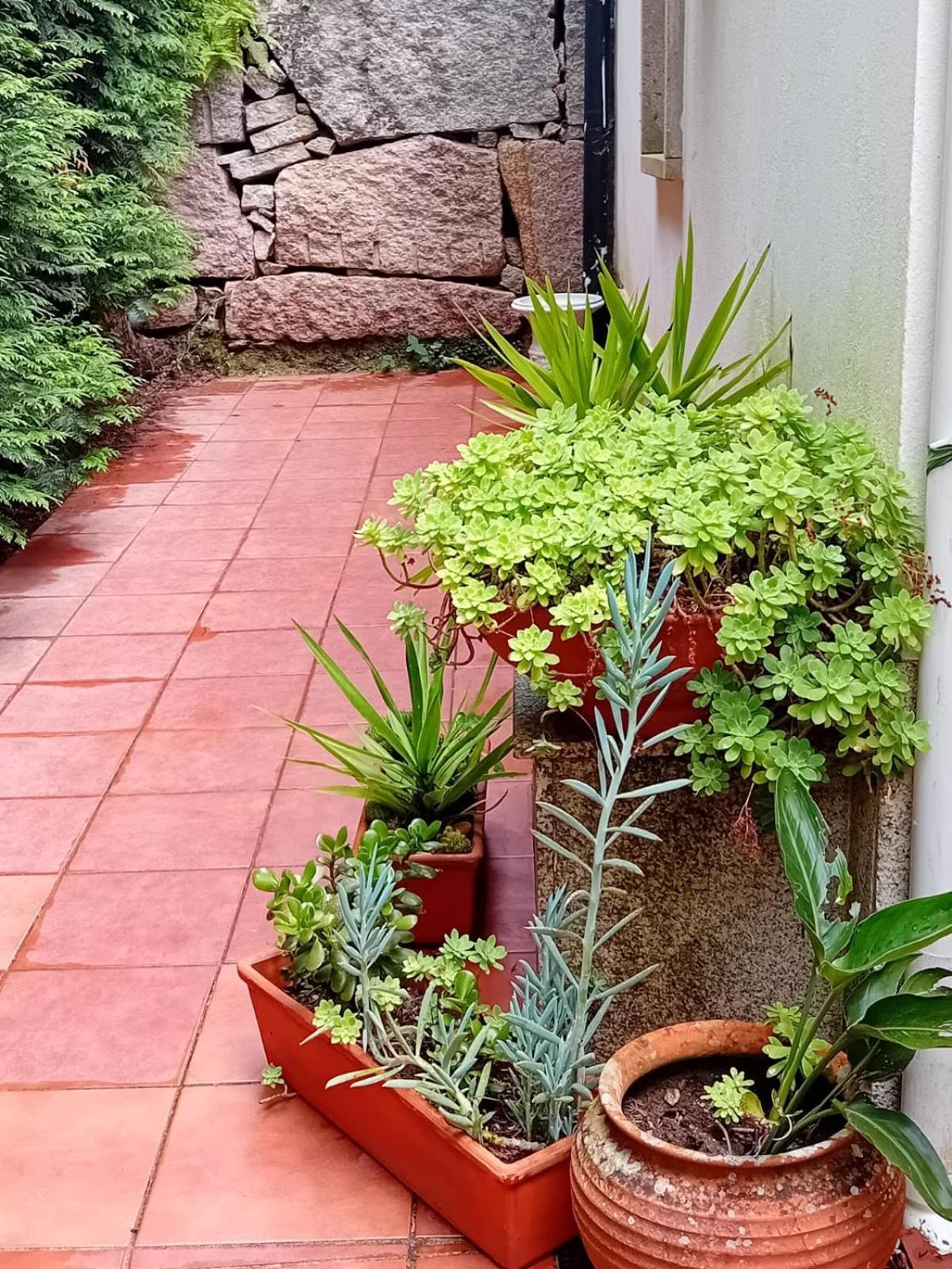 Villa Vivienda Con Jardin Terraza Y Barbacoa Picona Exterior foto